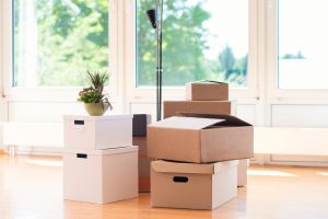 Many cardboard boxes in big bright house during relocation