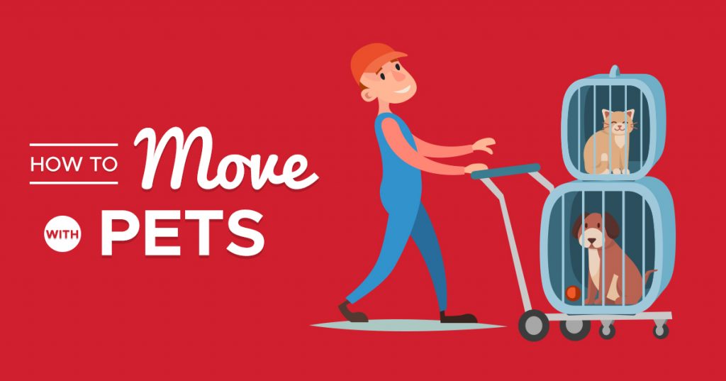 moving-with-pets-banner